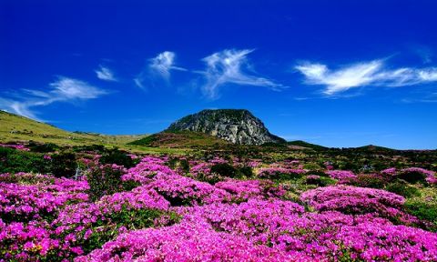 Khám phá những ngọn núi xinh đẹp tại Hàn Quốc
