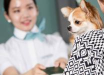 Có được mang thú cưng lên máy bay Korean Air?