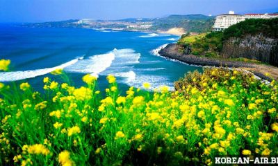 Vé Giá Rẻ Của Korean Air Đến Đảo Thiên Đường Jeju