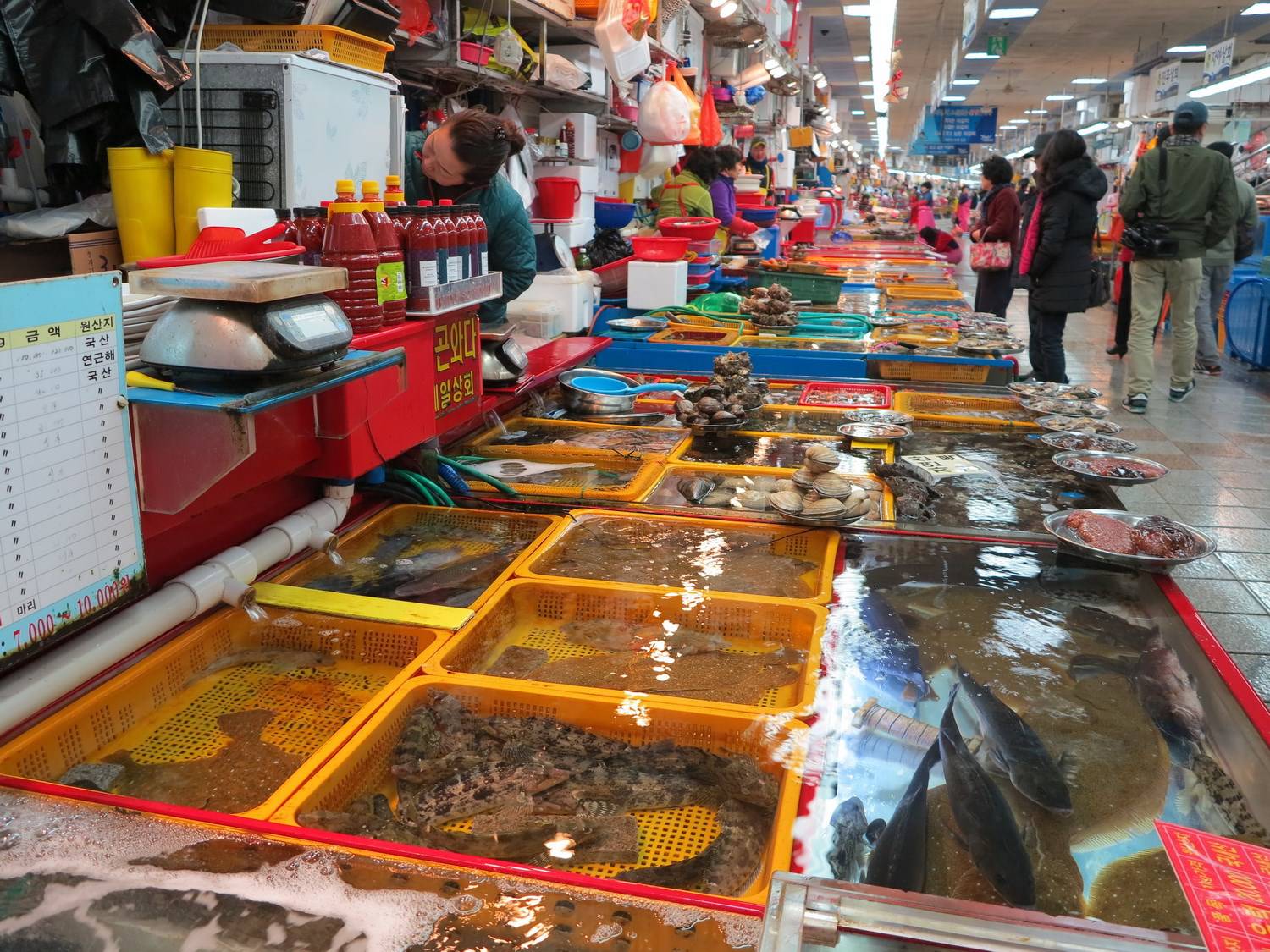 Chợ cá Jagalchi Busan