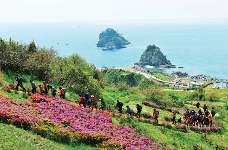 Đường bộ đi lên đảo Oryukdo Busan