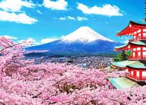 Làm thế nào để du lịch Nhật Bản tiết kiệm nhất?