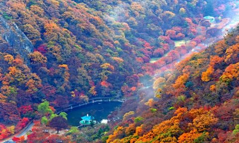 Cảnh đẹp Hàn Quốc mùa thu