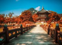 Du lịch Hàn Quốc lễ hội mùa thu
