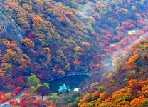 Ngỡ ngàng cảnh đẹp mùa thu ở Hàn Quốc