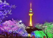 Tháp Namsan Seoul Hàn Quốc