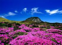 Khám phá những ngọn núi cao nhất Hàn Quốc