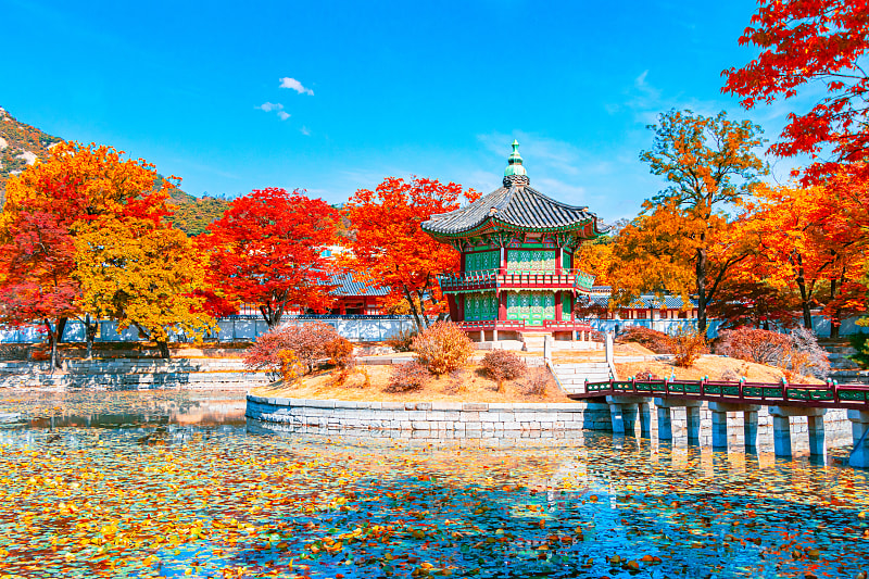 Khung cảnh rực rỡ của mùa thu Hàn Quốc