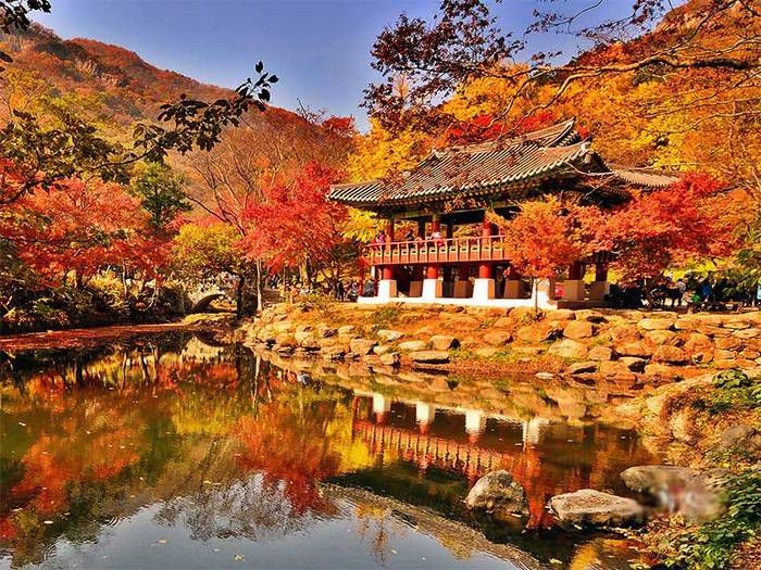 Ngỡ ngàng cảnh đẹp Hàn Quốc mùa thu