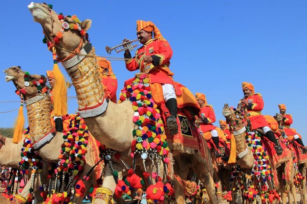Tham gia lễ hội lạc đà lớn nhất thế giới bằng vé máy bay Korean Air đi Ấn Độ
