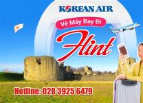 Vé máy bay đi Flint
